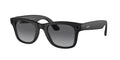 Ray-Ban Meta 0RW4006 WAYFARER