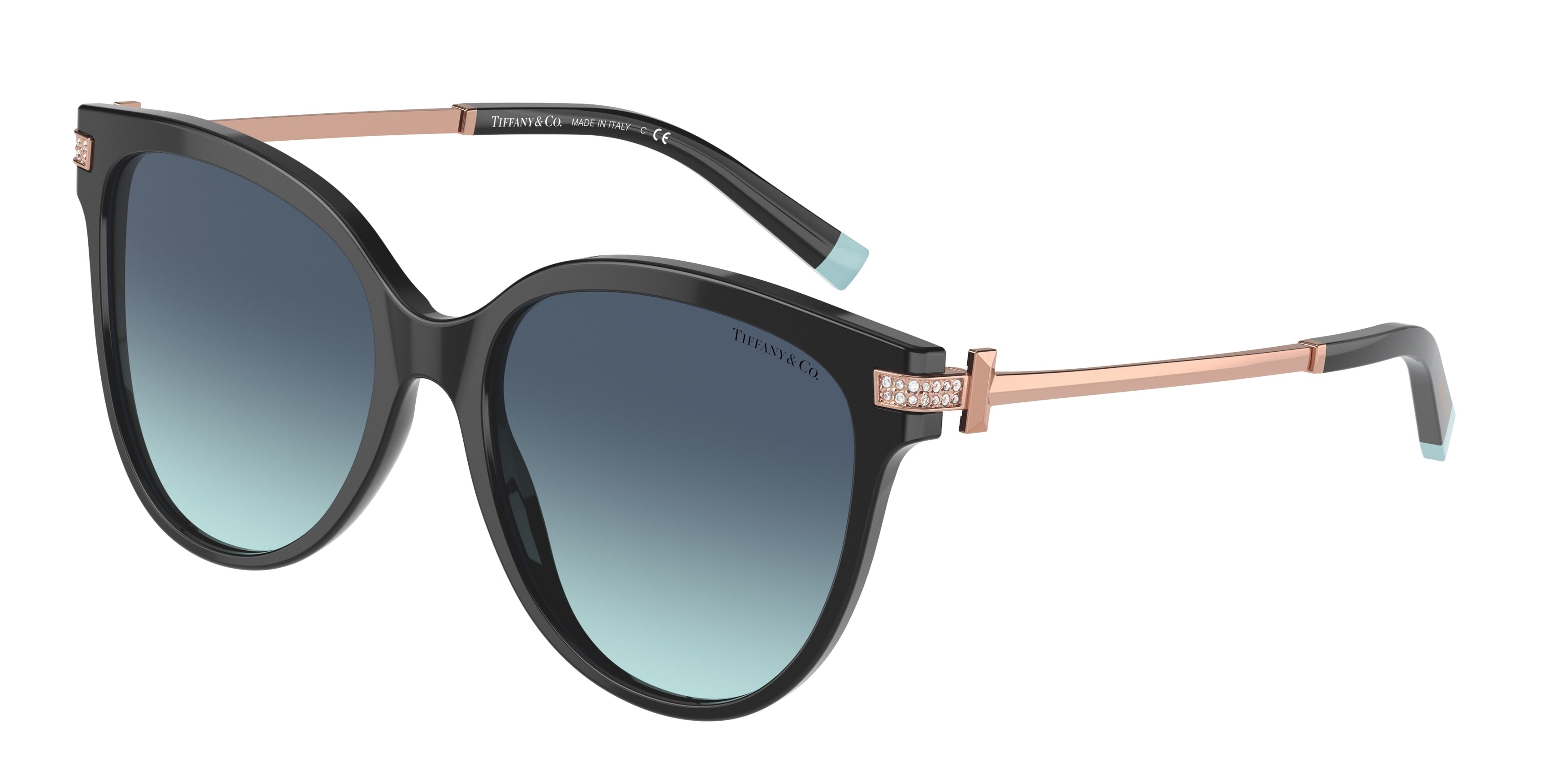 Tiffany & Co. 0TF4193B