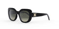 Celine TRIOMPHE CL40226U