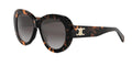 Celine TRIOMPHE CL40317U