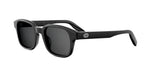 Dior CD ICON S4I DM40172I