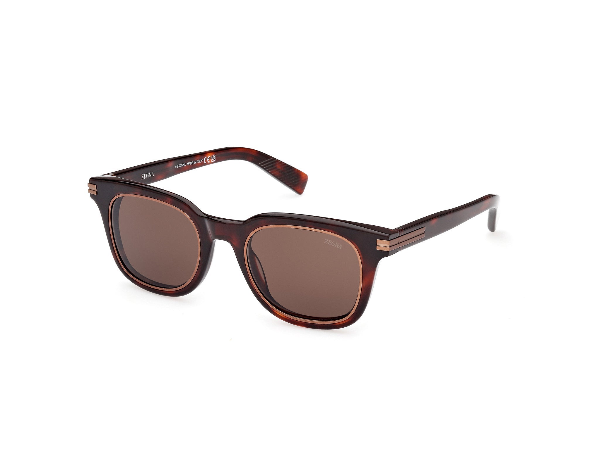 Zegna EZ0238