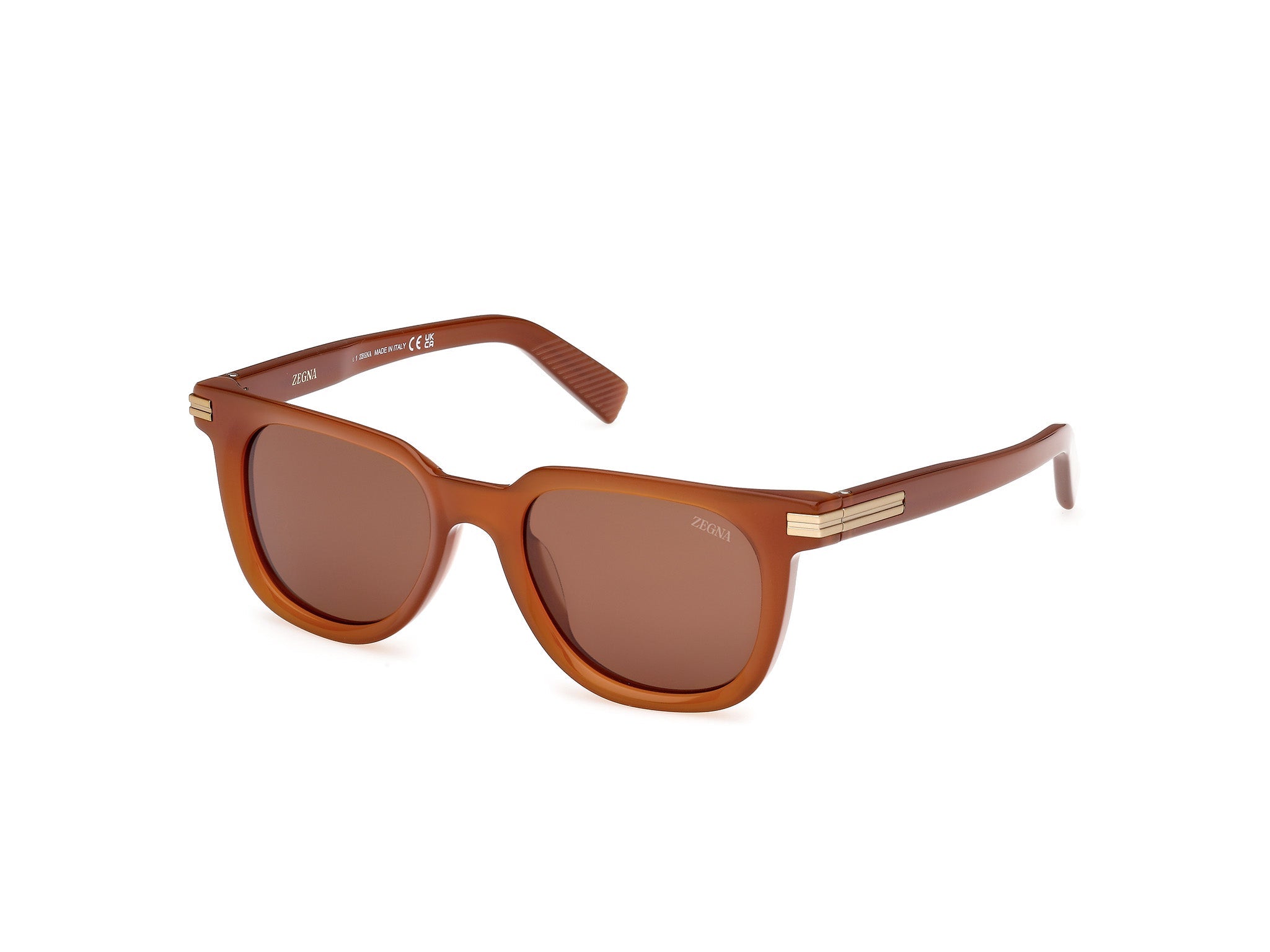 Zegna EZ0248