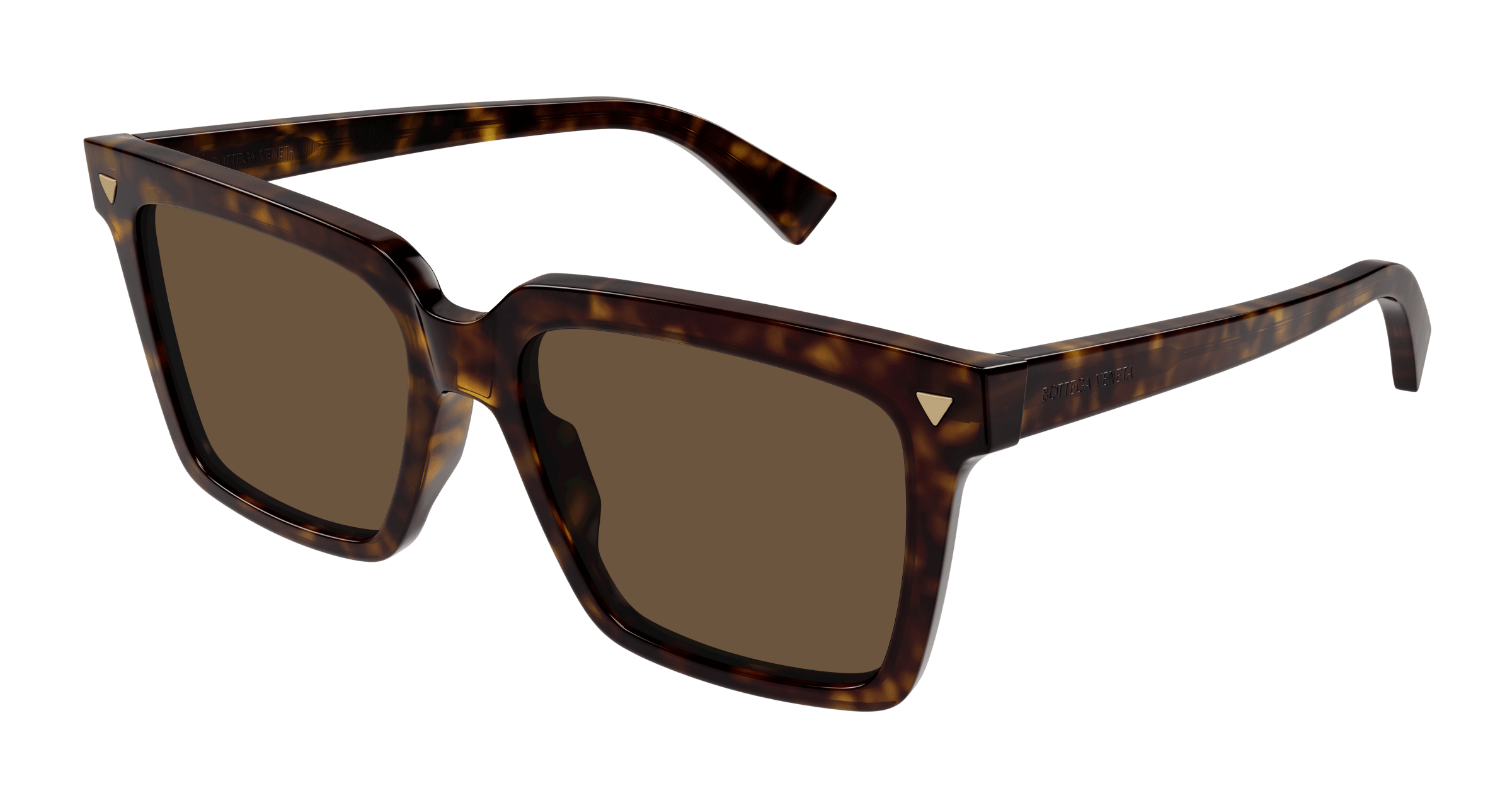 Bottega Veneta BV1254S