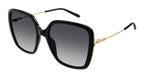 Chloé CH0173S