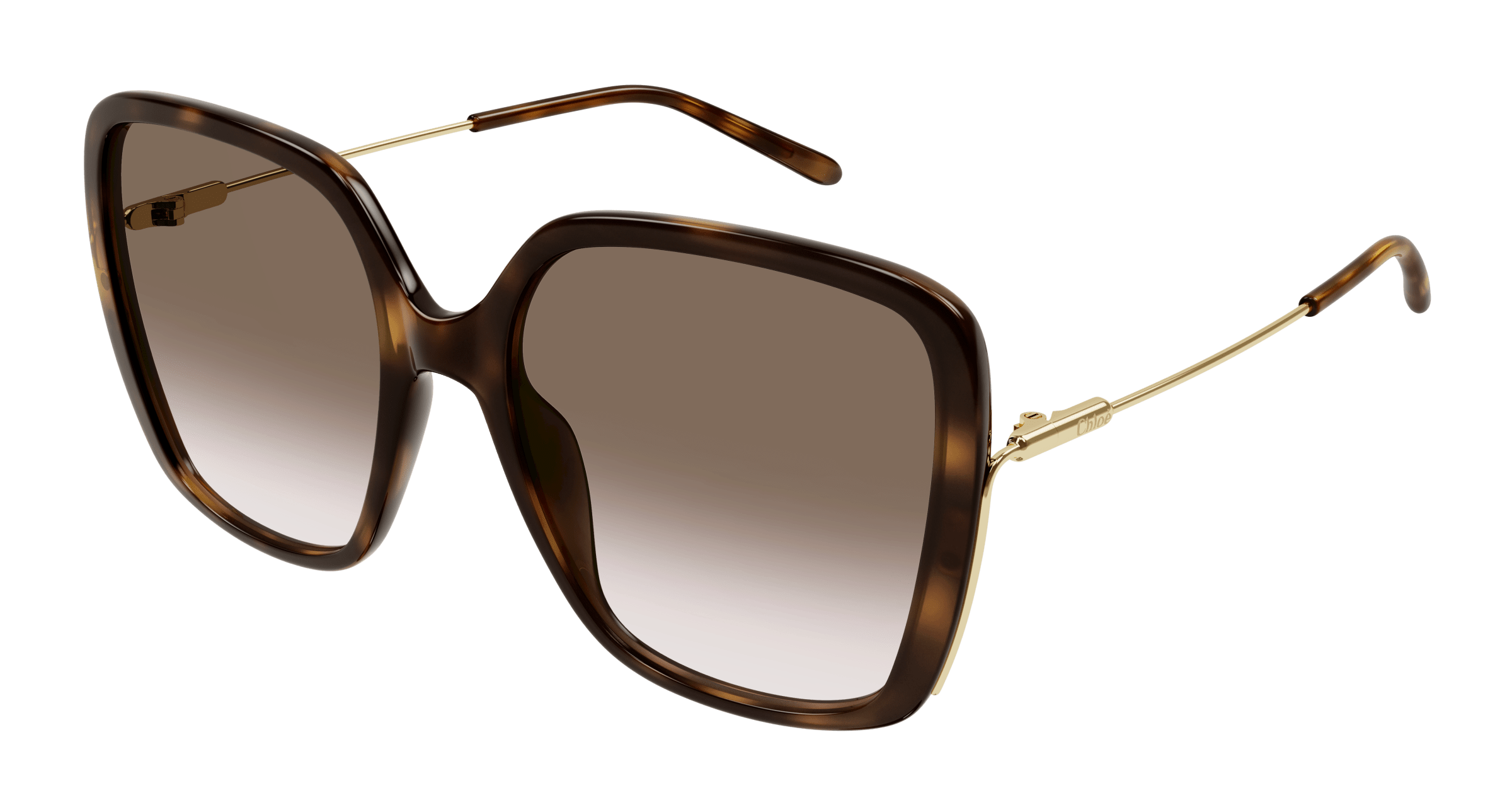 Chloé CH0173S
