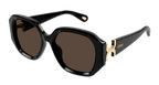 Chloé CH0236S