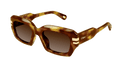 Chloé CH0256S