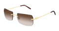 Cartier CT0006RS