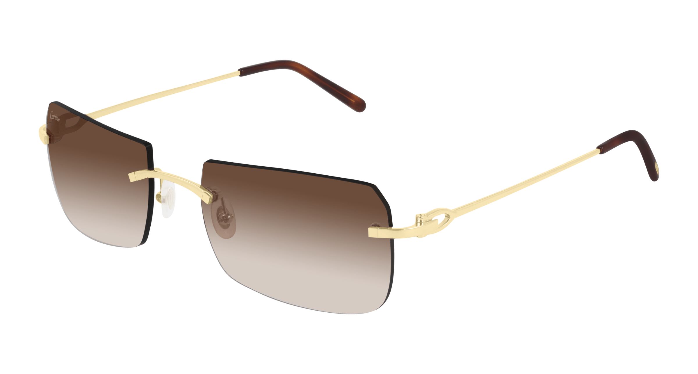 Cartier CT0006RS