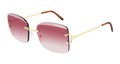 Cartier CT0007RS