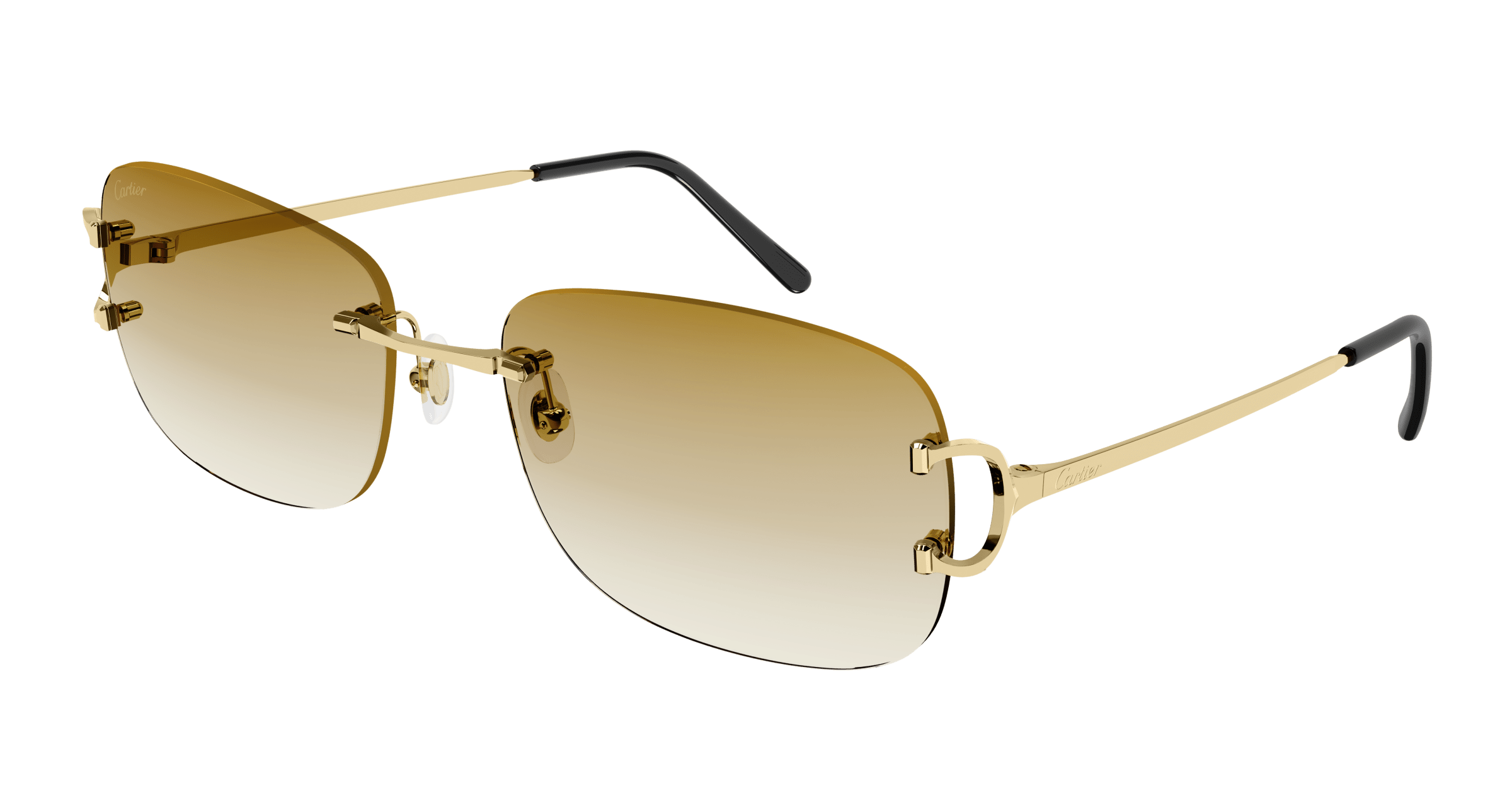 Cartier CT0011RS