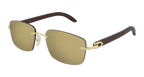 Cartier CT0013RS