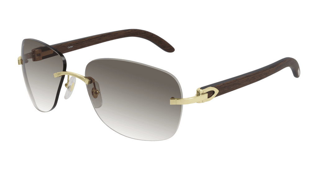 Cartier CT0014RS