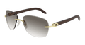 Cartier CT0014RS