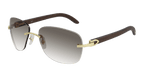 Cartier CT0014RS