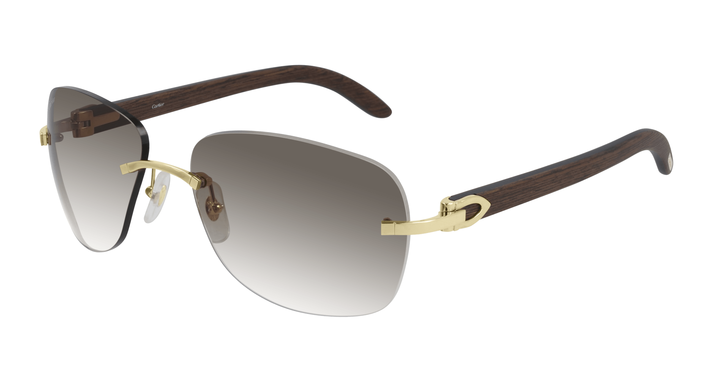 Cartier CT0014RS