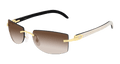 Cartier CT0017RS