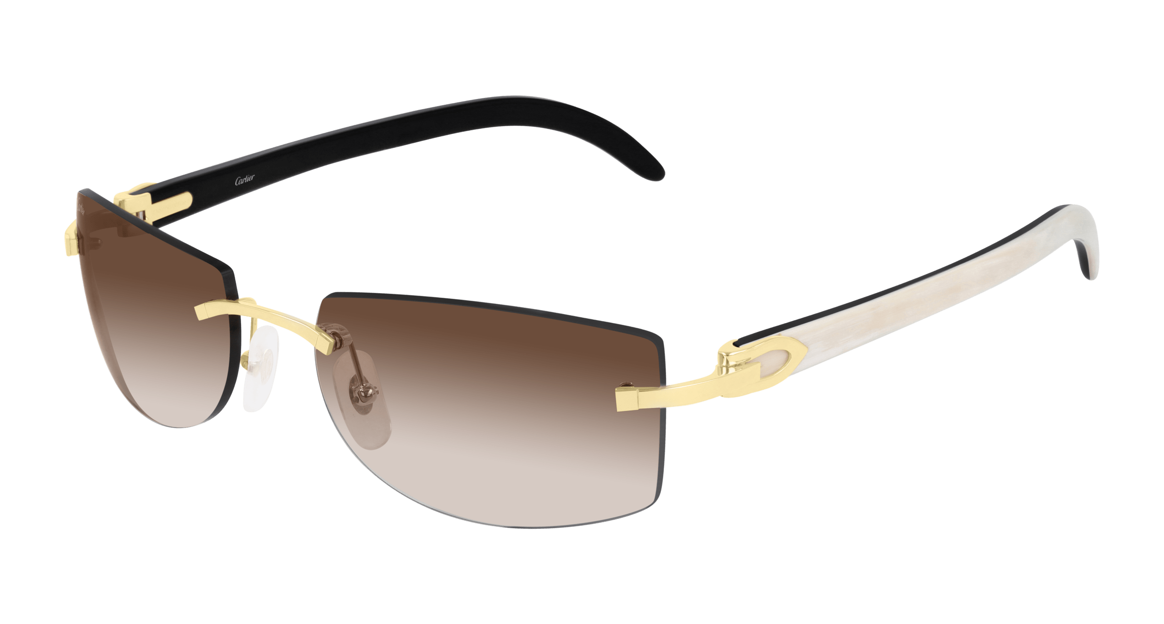 Cartier CT0017RS