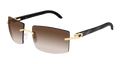 Cartier CT0021RS