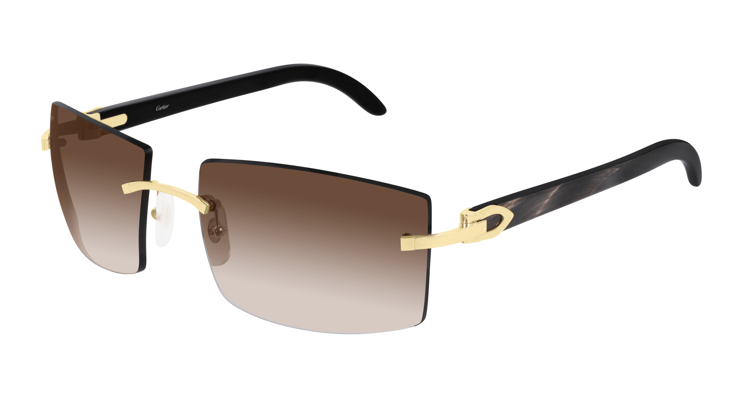 Cartier CT0021RS