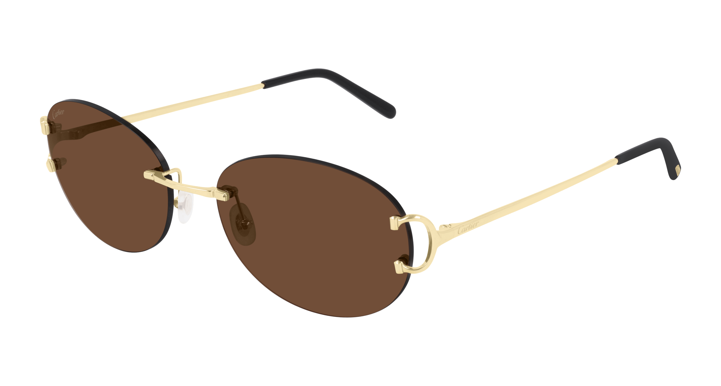 Cartier CT0029RS