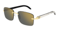 Cartier CT0030RS