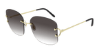 Cartier CT0037RS