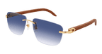 Cartier CT0040RS