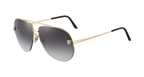 Cartier CT0065S