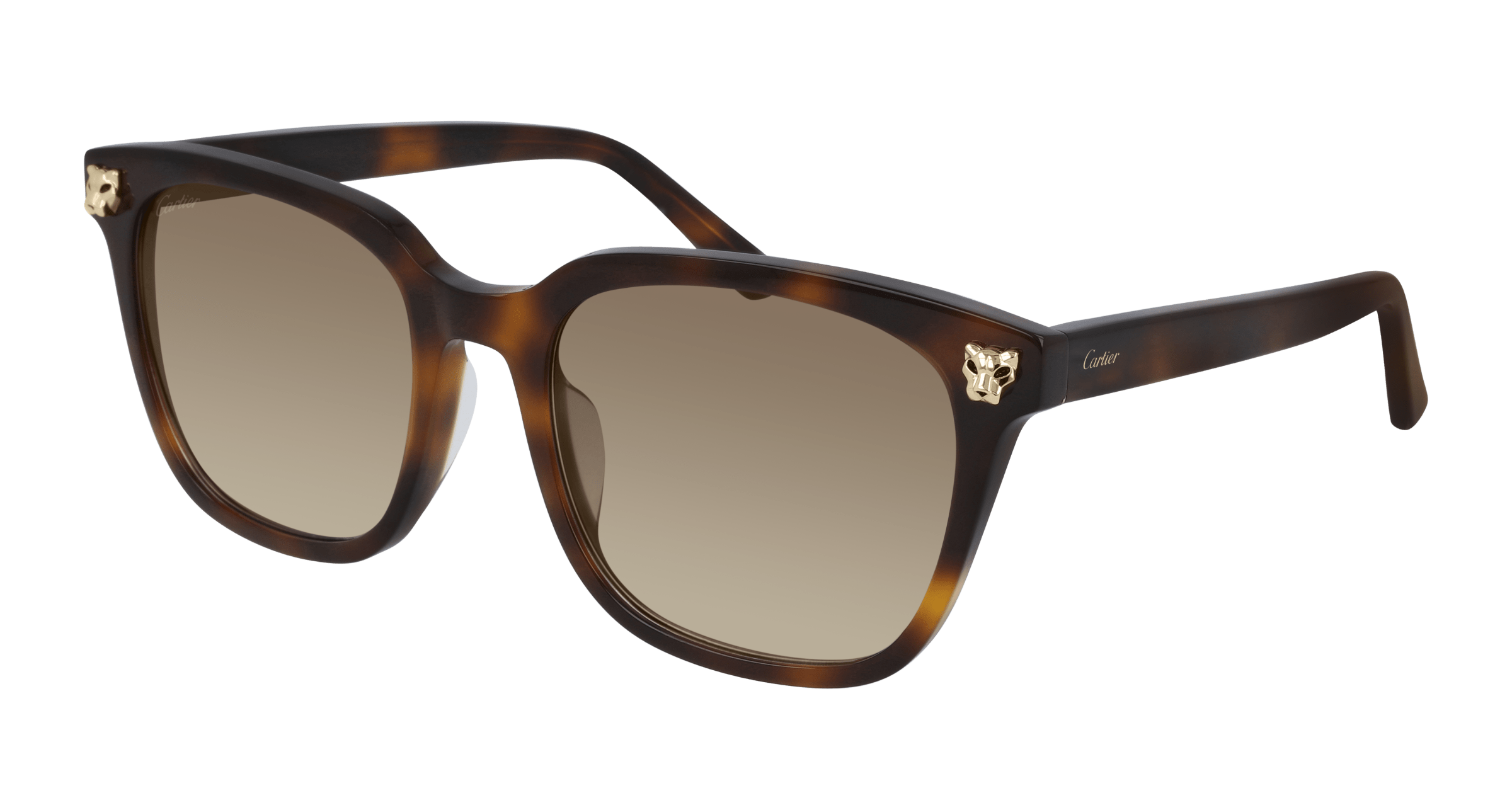 Cartier CT0143SA Asian Fit