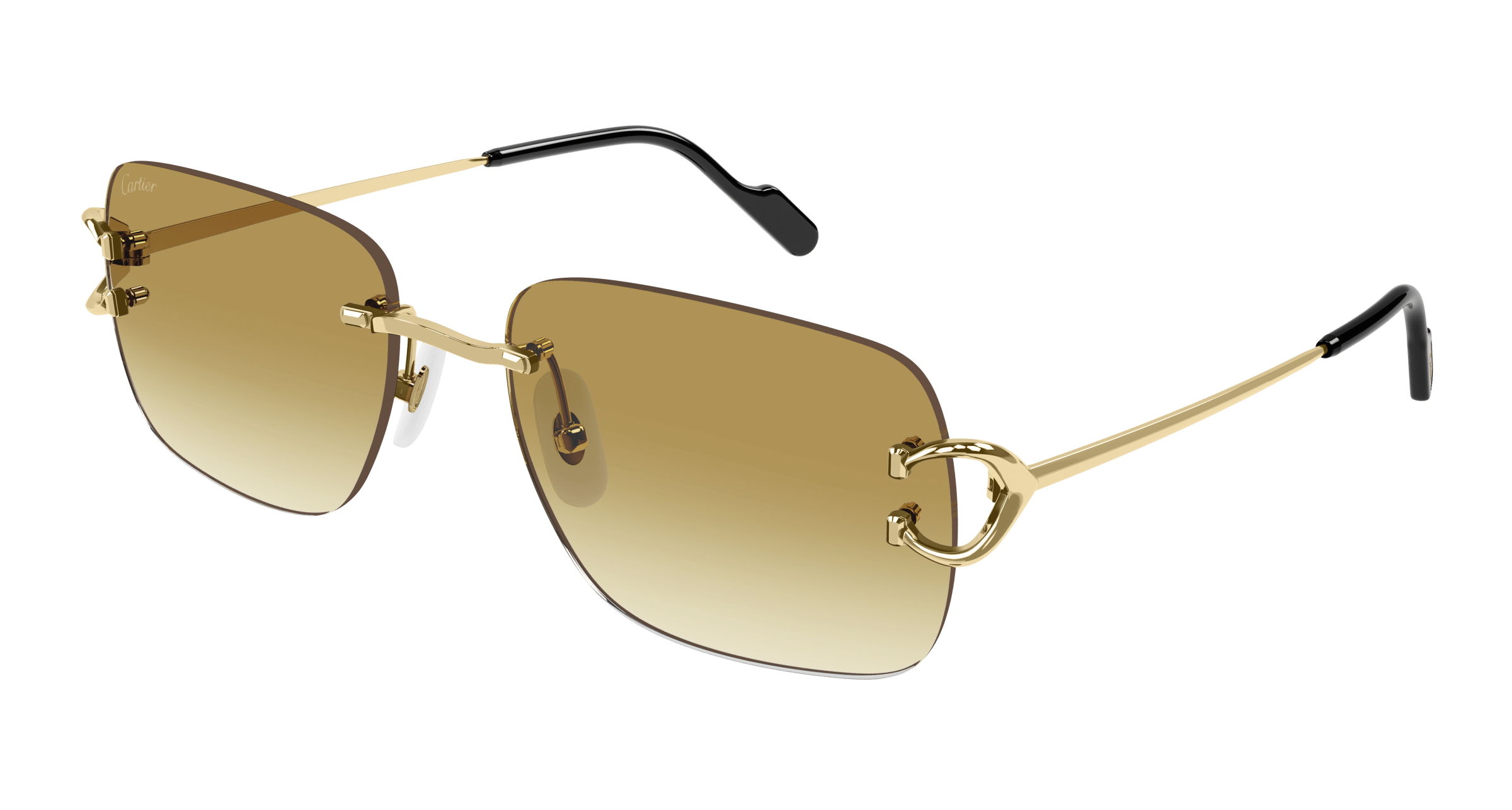 Cartier CT0330S