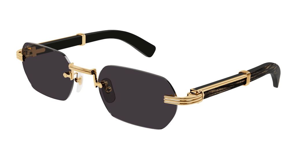 Cartier CT0362S