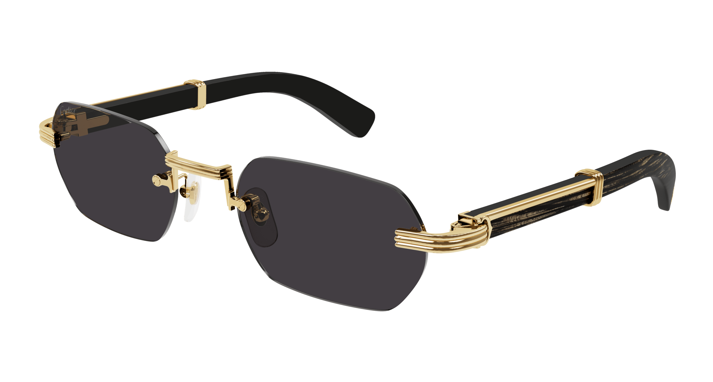 Cartier CT0362S