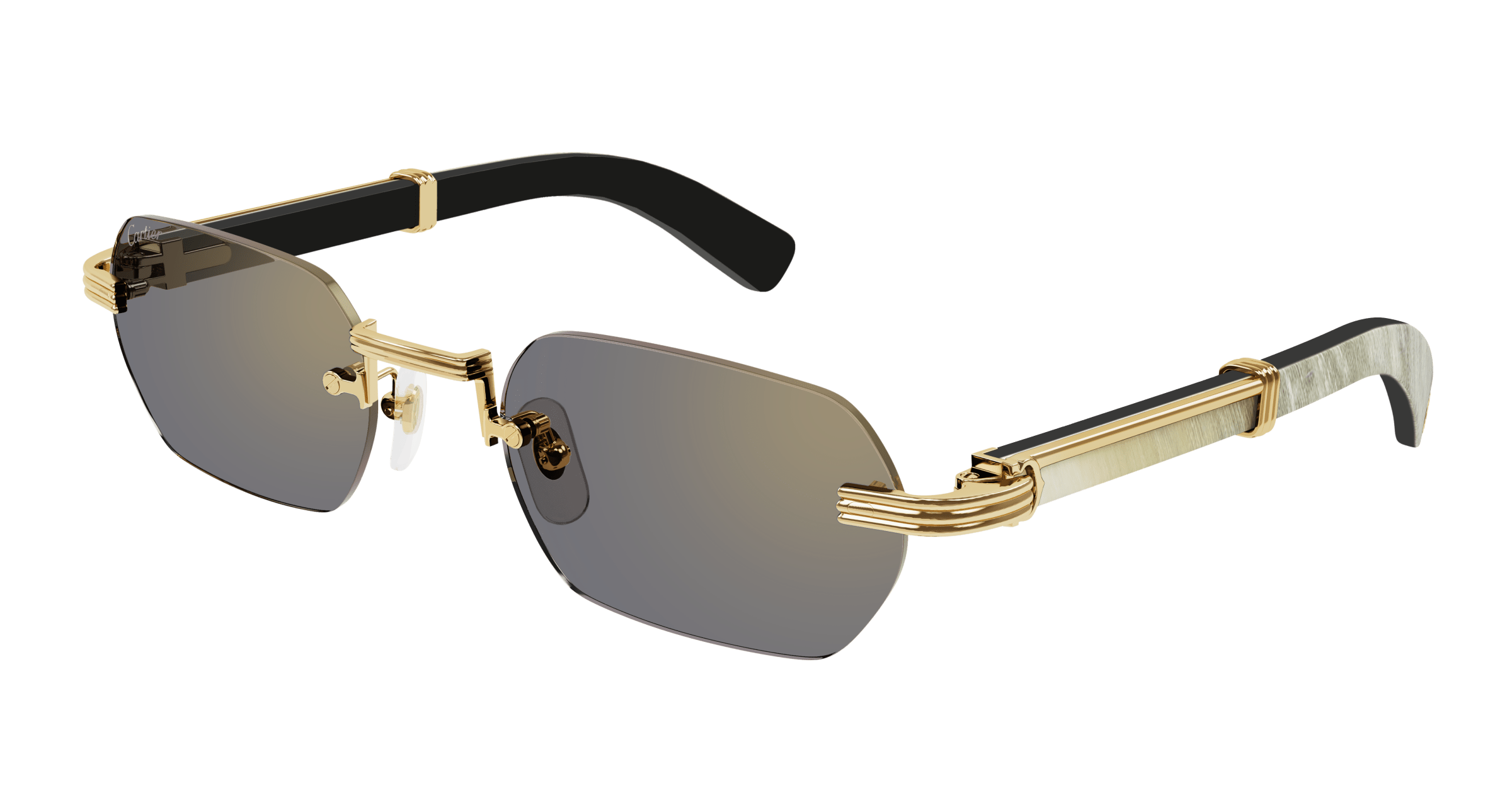 Cartier CT0362S
