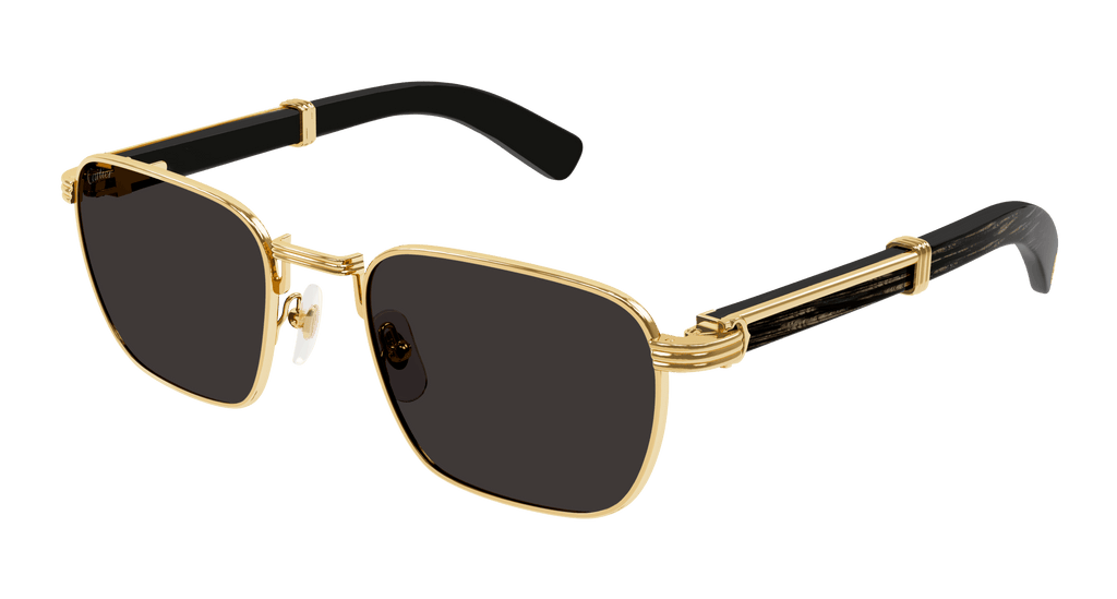 Cartier CT0363S