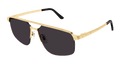 Cartier CT0385S