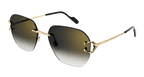 Cartier CT0394S