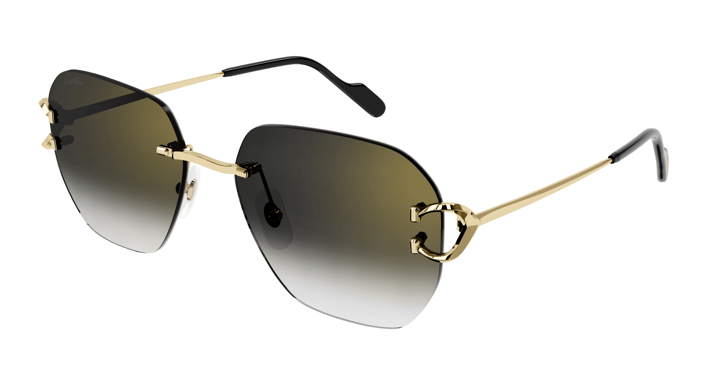 Cartier CT0394S