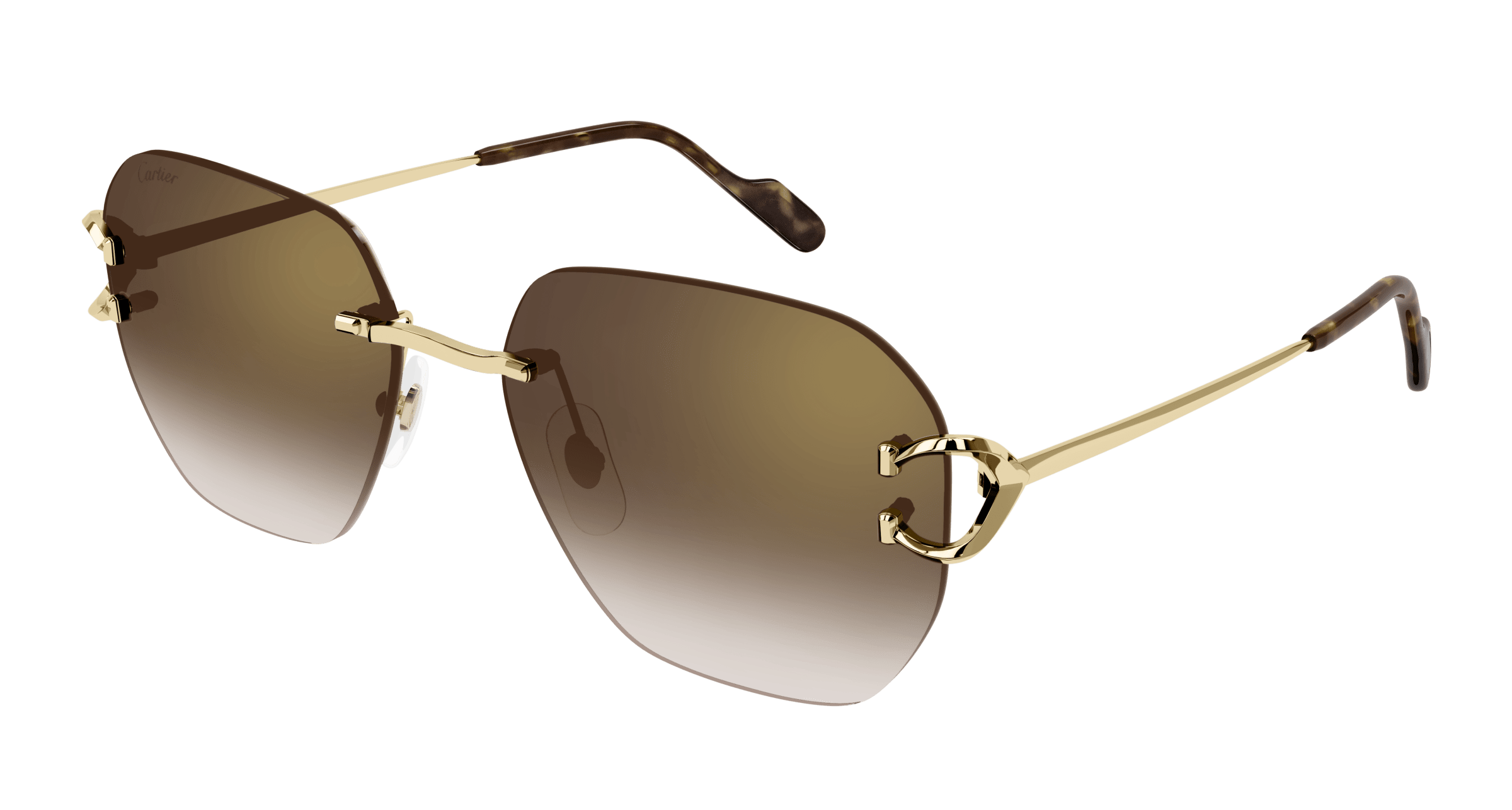 Cartier CT0394S
