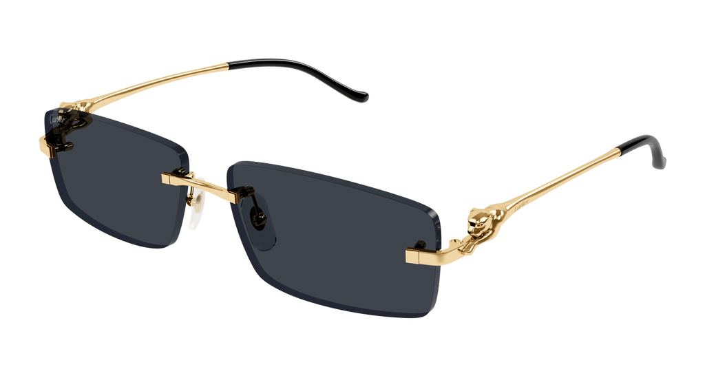 Cartier CT0430S