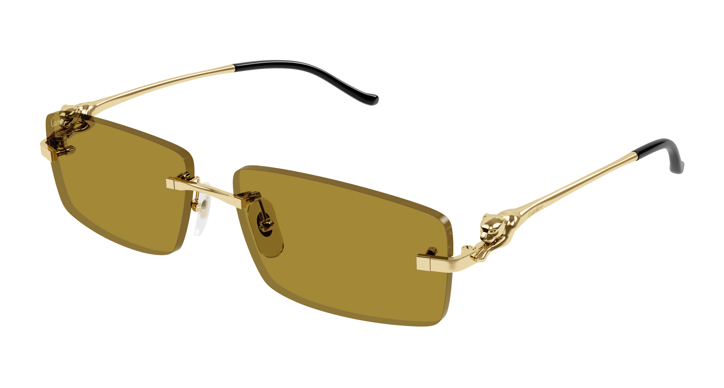 Cartier CT0430S