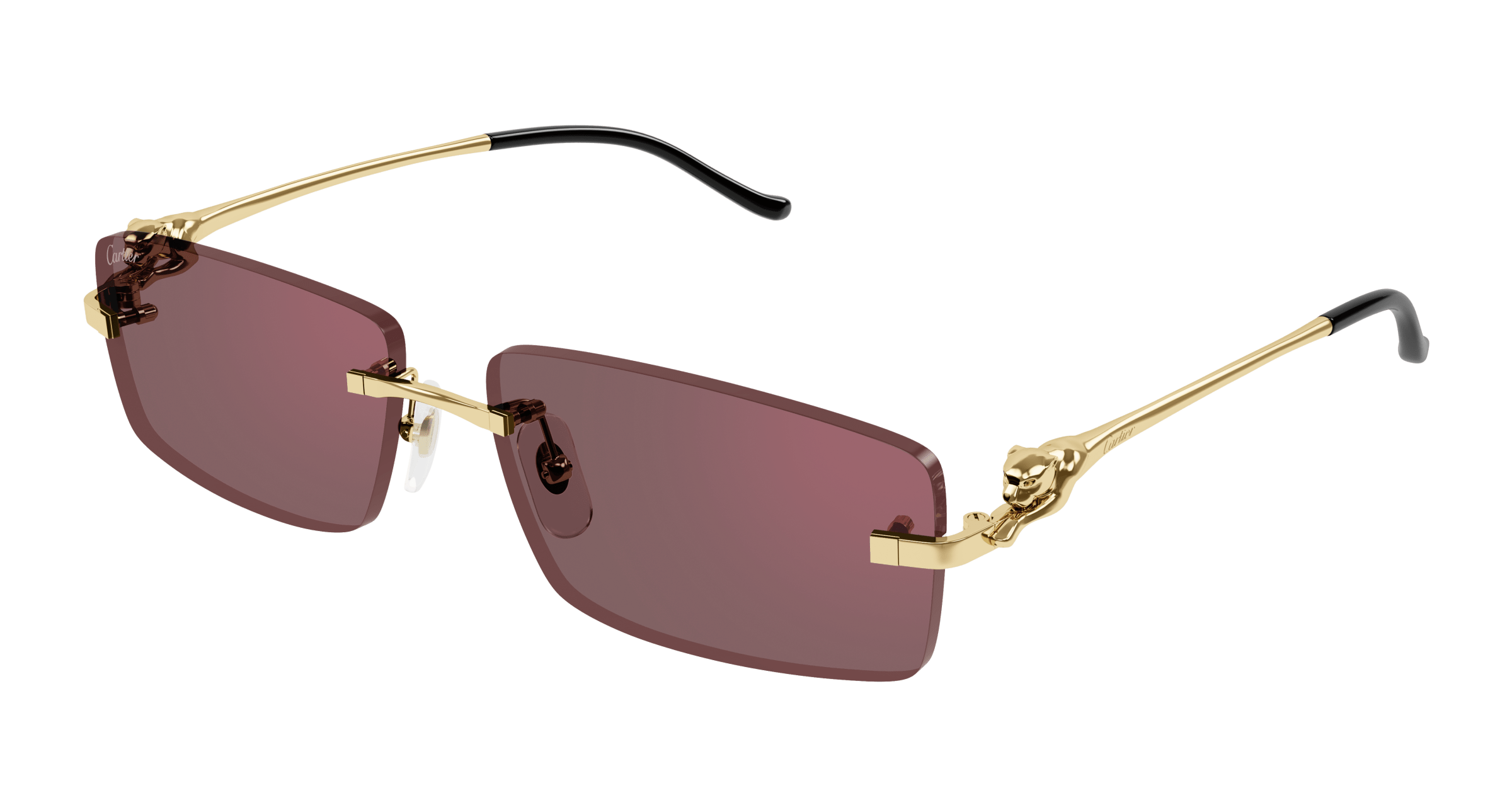Cartier CT0430S