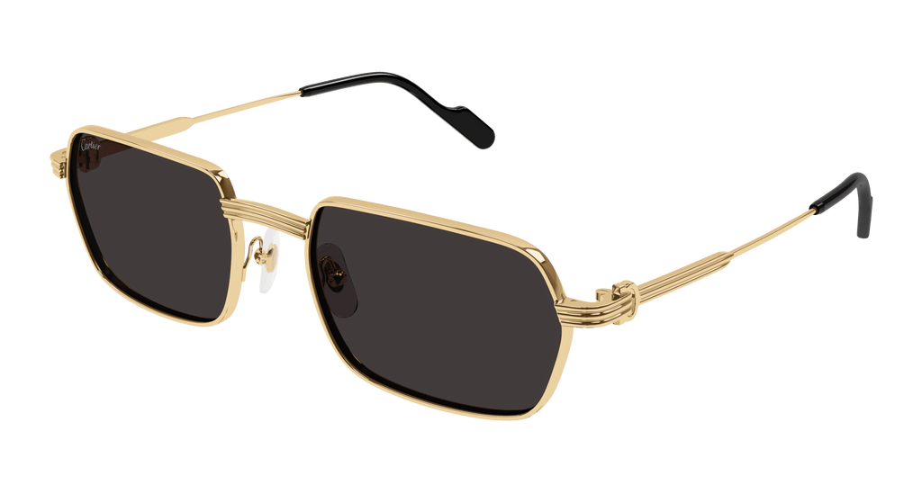 Cartier CT0463S