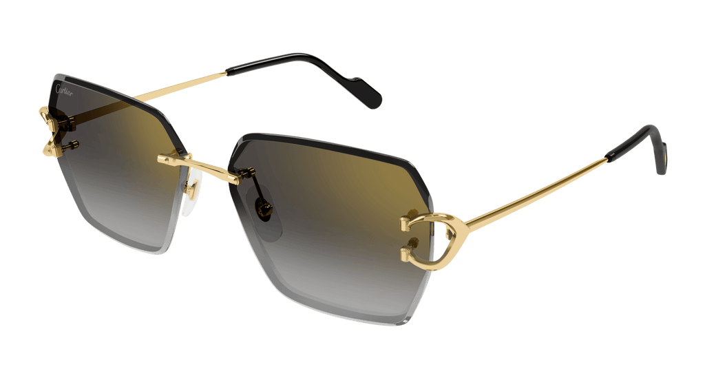 Cartier CT0466S