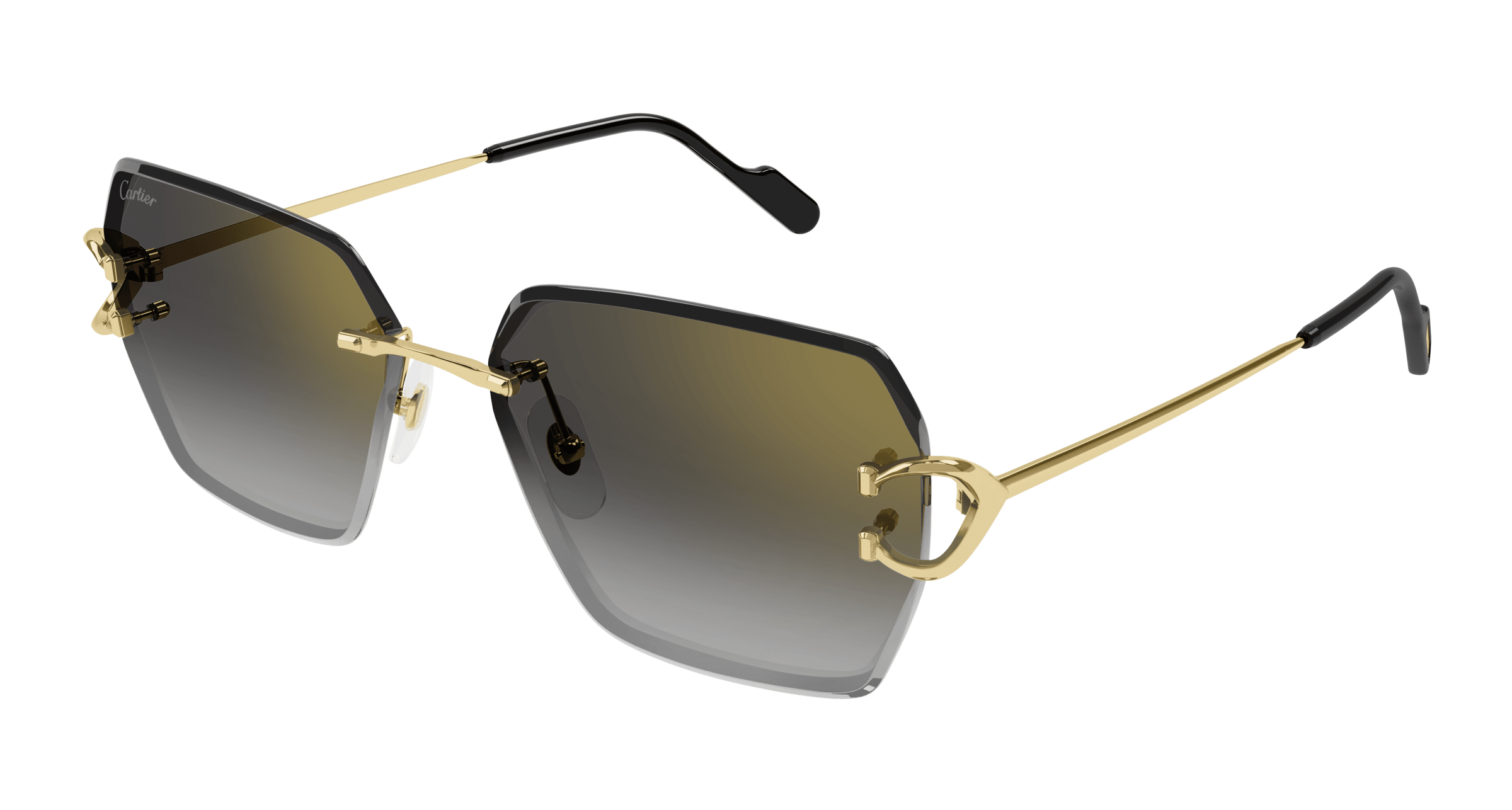 Cartier CT0466S