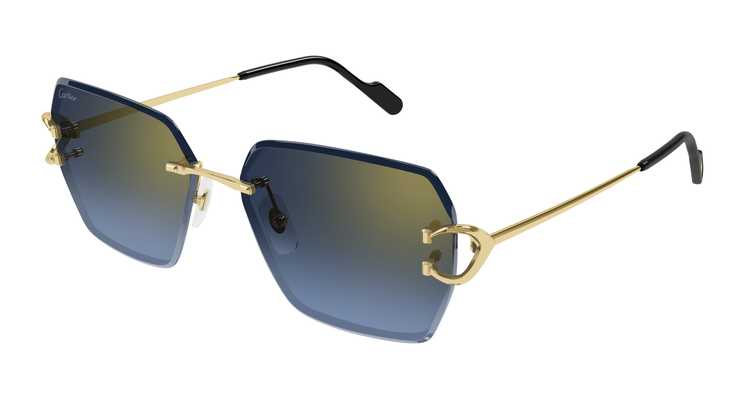 Cartier CT0466S