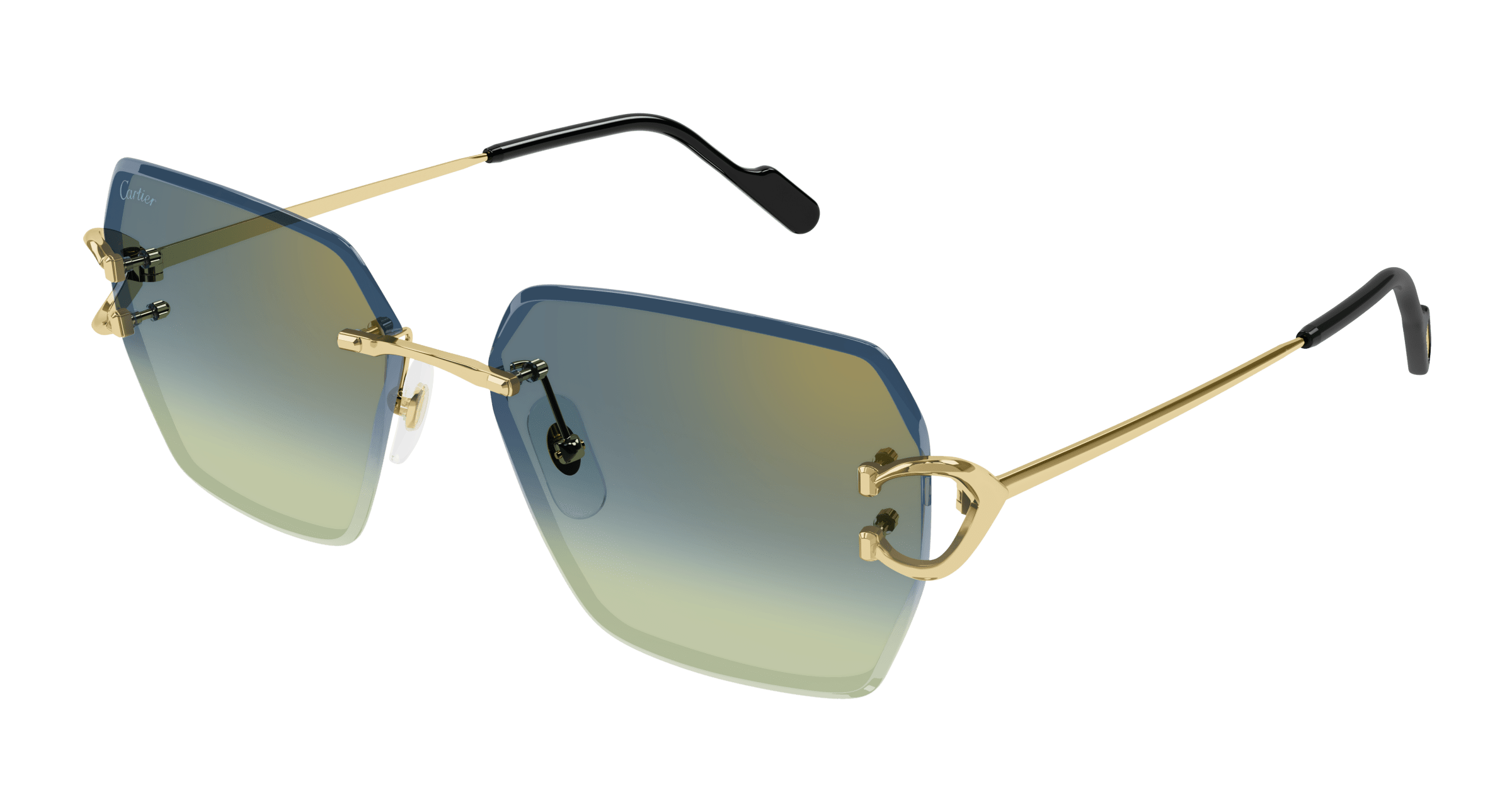 Cartier CT0466S
