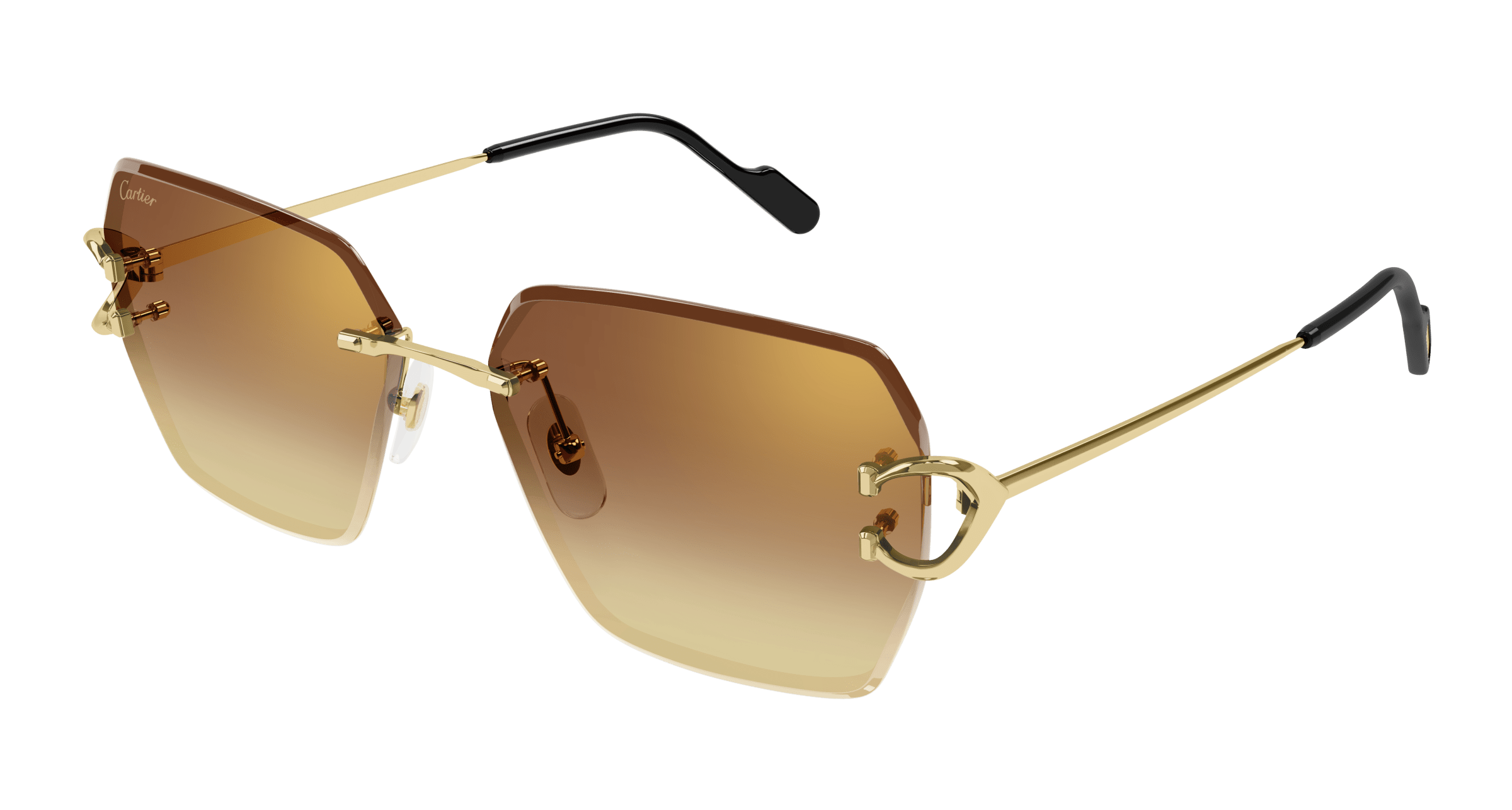 Cartier CT0466S