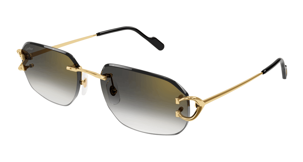 Cartier CT0468S